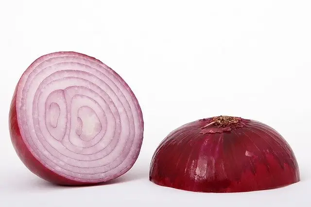 Eat onions as a Salad