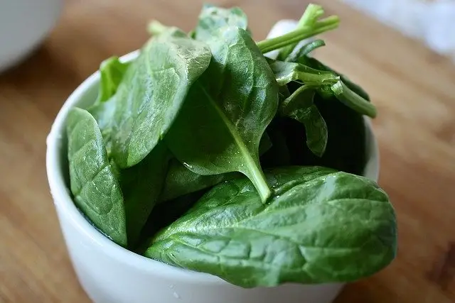 Spinach is good for belly fat reduction
