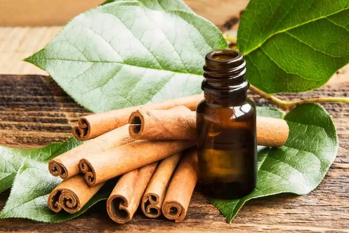 This image has an empty alt attribute; its file name is Cinnamon-Leaf-Essential-Oil-1.jpg