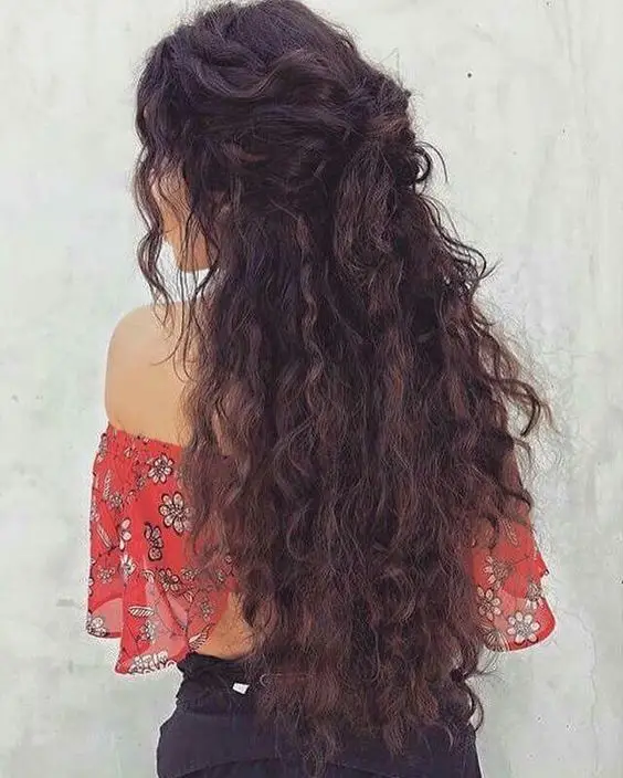 Long Curly Hairdo hairstyles